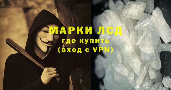 прущие грибы Волосово