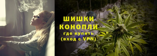 крисы Володарск