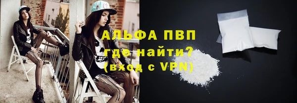 прущие грибы Волосово