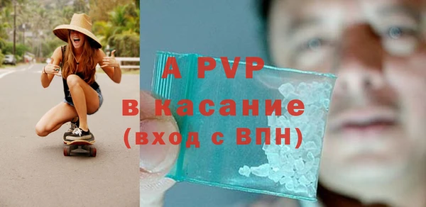 прущие грибы Волосово