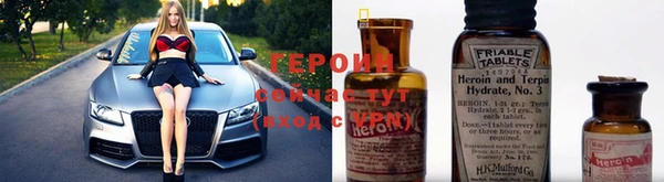 прущие грибы Волосово