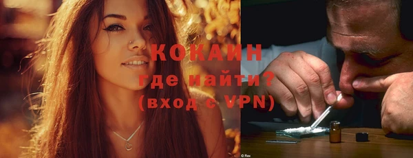 прущие грибы Волосово