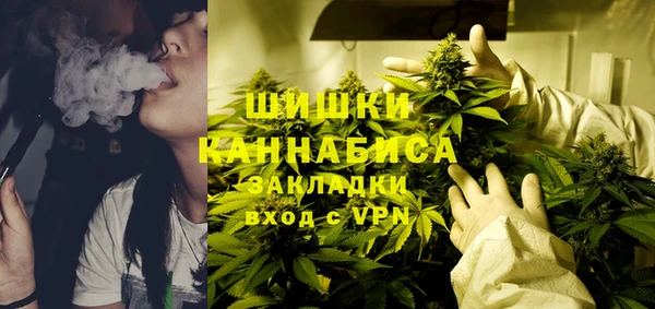 прущие грибы Волосово
