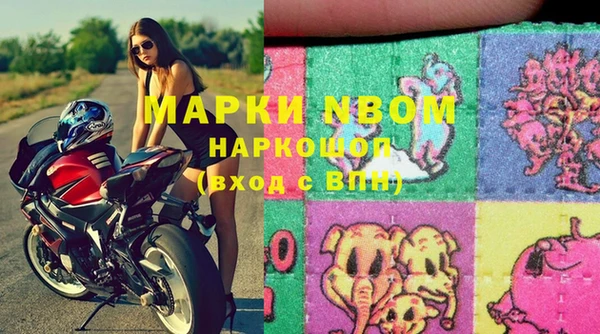 прущие грибы Волосово
