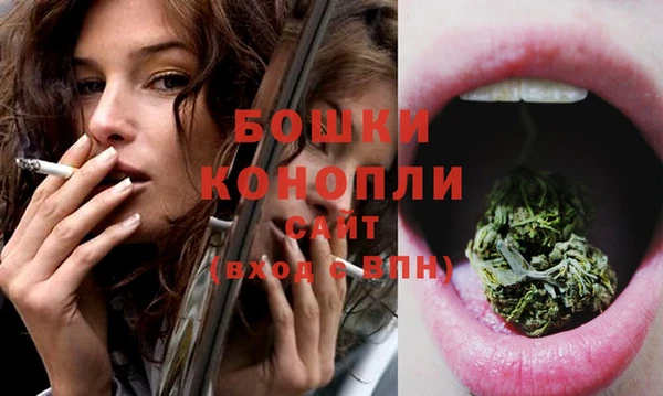 прущие грибы Волосово