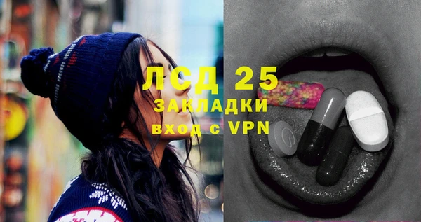 спайс Вяземский