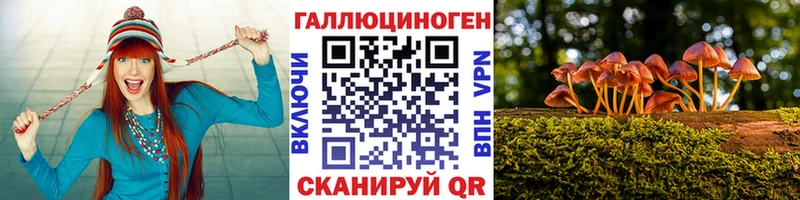 Псилоцибиновые грибы MAGIC MUSHROOMS  Богородицк 